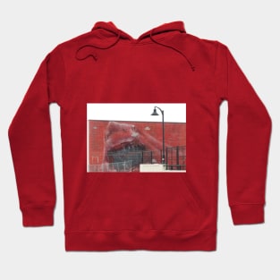 Red Shark Hoodie